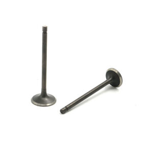 Juego Válvulas (Admisión y Escape) Motor Gasolina